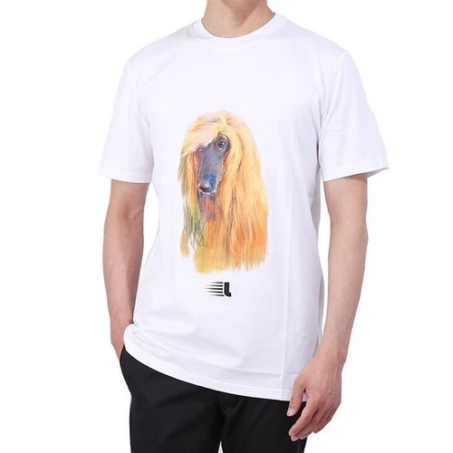 Lanvin shirt afghan - afghan, hound