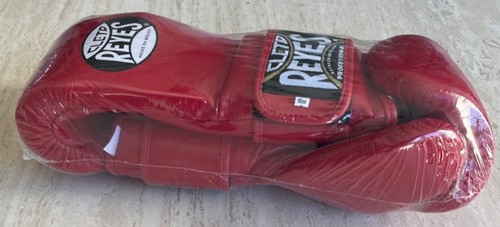 Cleto reyes training boxing - cleto,