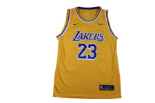 Maillot NBA vintage Lakers Los Angeles #23 James