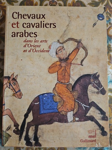 Chevaux cavaliers arabes - et,
