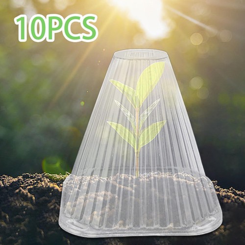 10x cloche jardin plante - 10x,