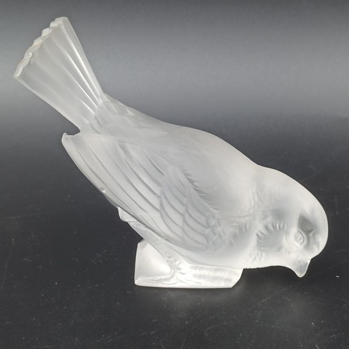 René lalique moineau - -,