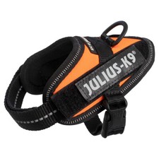 Julius-K9 Idc Plats Electriques UV Orange Fluo pour Chien - Ergonomique &