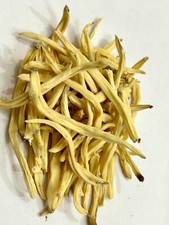 Musli protégé, Chlorophytum Borivilianum, Musli blanc, plante araignée biolog...