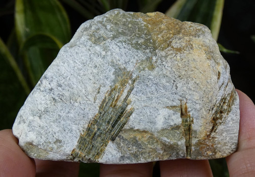 Trémolite verte sur talc - verte,