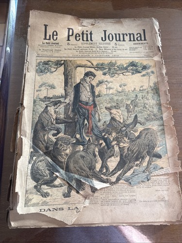 Petit journal illustre - le,