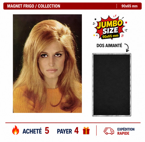 Magnet frigo dalida ver - frigo,