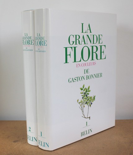 Grande flore couleurs - la,