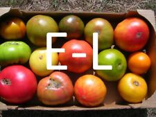 E-L 🍅 40 VARIETES DE TOMATE