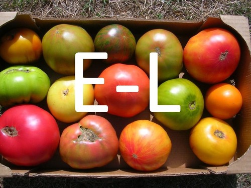 40 varietes de tomate - 🍅,