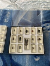 Lot de 14 véritables insectes