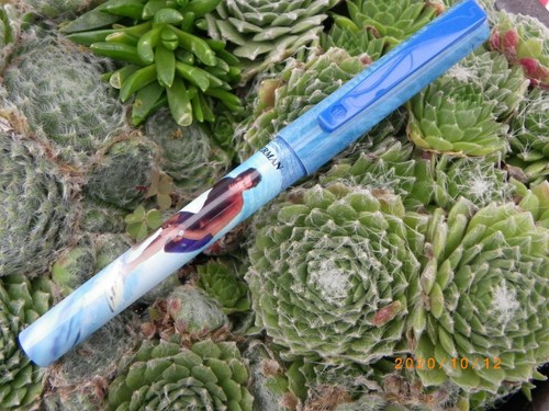 Stylo waterman jif des - stylo,