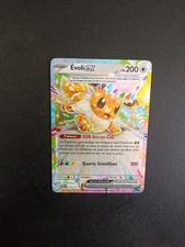 Carte Pokémon Evoli EX