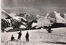 74 MORZINE LES TERRES MAUDITES