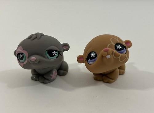 Hasbro littlest pet - pet, shop