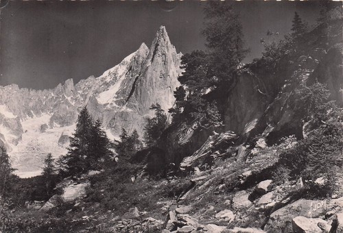 Chamonix aiguille dru - chamonix,