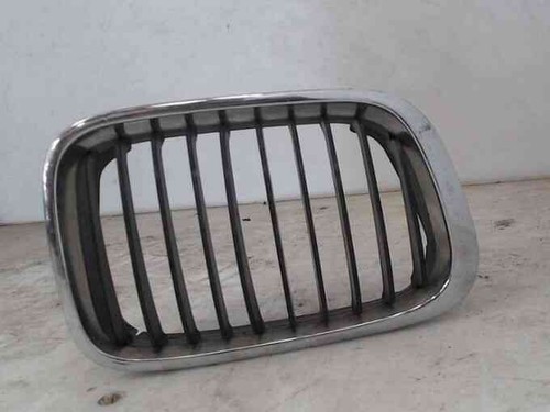 Grille calandre laterale avant