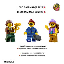 LEGO MINIFIGURES BAM MAI MAY