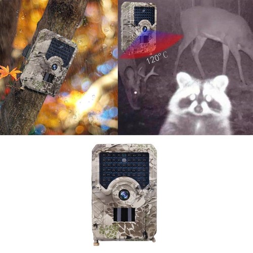 Caméra chasse sans fil - chasse,