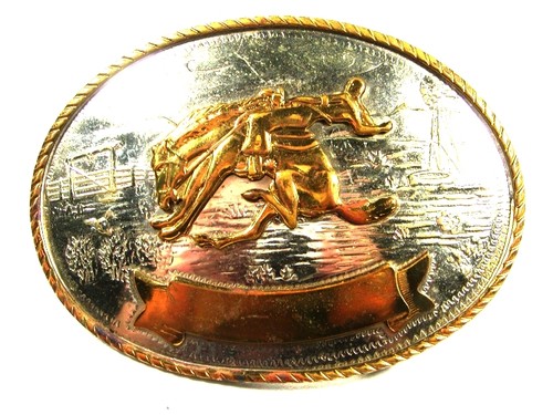 Ouest cow boy rodéo - ouest,