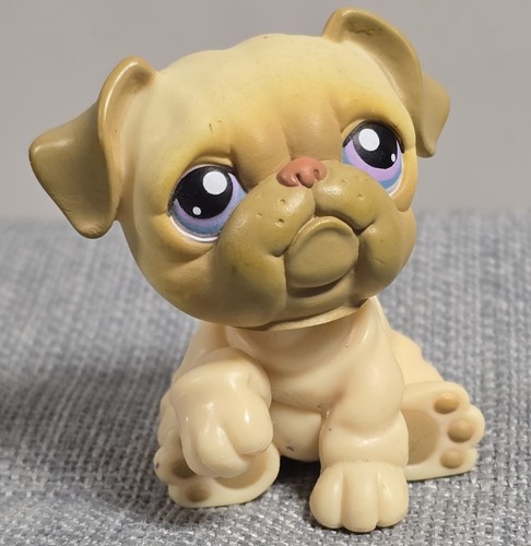 Petshop chien bouledogue - petshop,