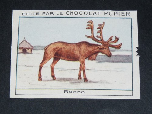 Chromo chocolat pupier 1930 - chromo,