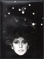 Ghislain Broulard, institut