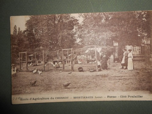 Cpa carte postale ancienne - cpa,