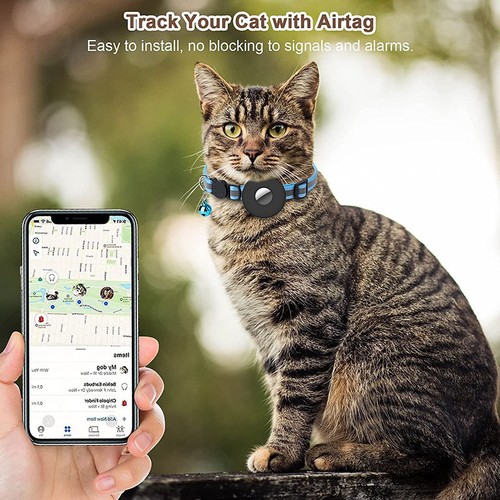 Collier chat chien compatible - collier,