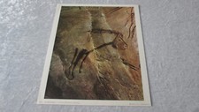 Ancienne Lithographie Art Préhistorique " Grotte de Niaux " Ed. Braun & Cie