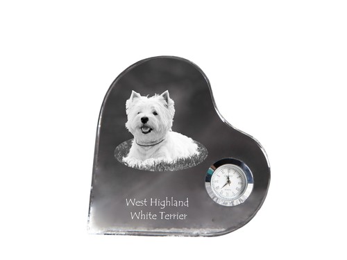 West highland white terrier - west,