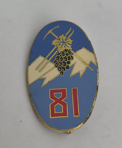 Insigne ria régiment - insigne,