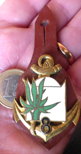 Insigne tdm ric - /,