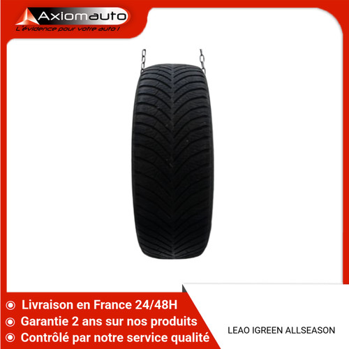 Pneu leao igreen - 🇫🇷,