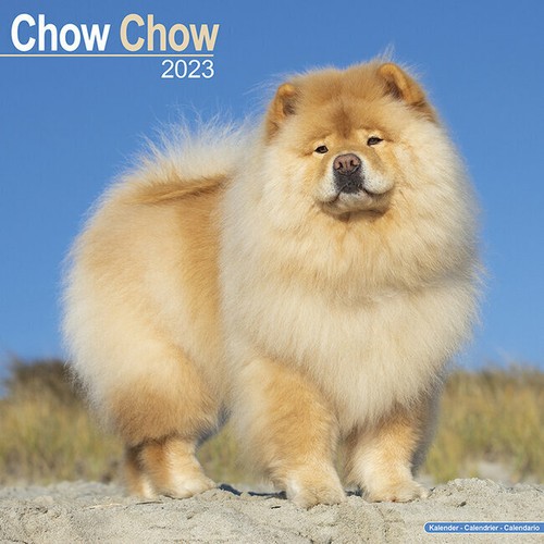 Calendrier 2023 chow - calendrier,
