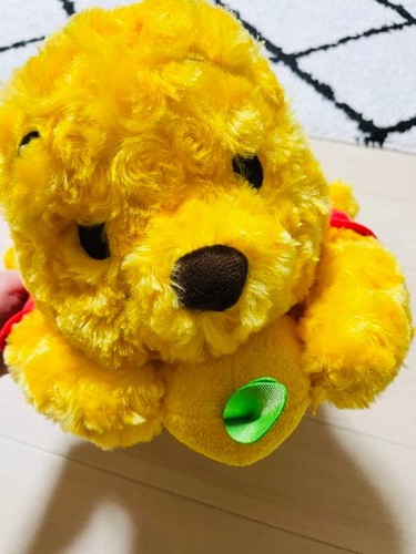 Winnie the pooh - winnie, tissue