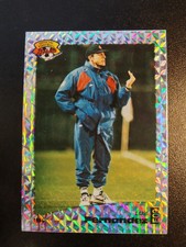 Carte Panini 1996 Luis Fernandez PSG #E90