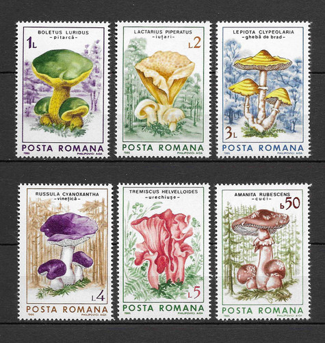 Roumanie 1986 champignons