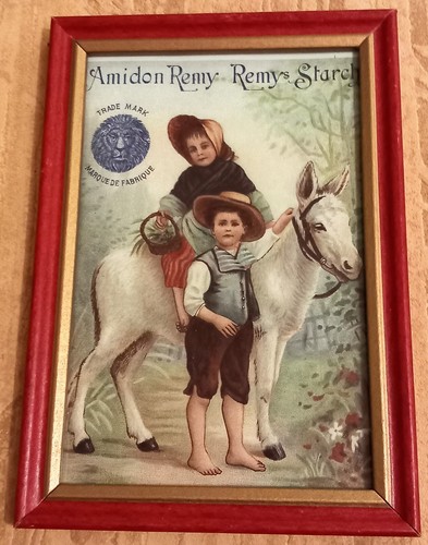 Amidon remy cpa encadree - cpa,
