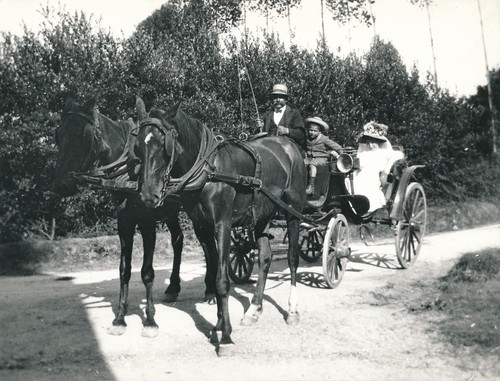 Attelage chevaux calèche - attelage,