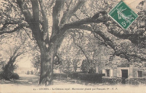 Loches château royal - 37, le