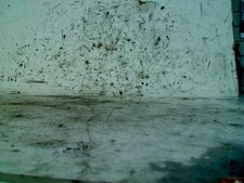 MOTEUR Seat Alhambra (7V8/9)