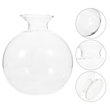 Vase De Culture D'avocat Pot