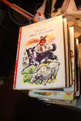 Crack chien patagon georges - patagon,