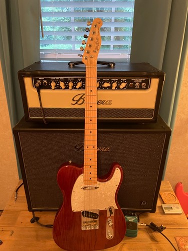 Harley benton tele swamp ash - swamp,