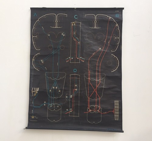 Affiche scolaire ancienne dr - affiche,