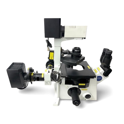 Microscope inversé - , à