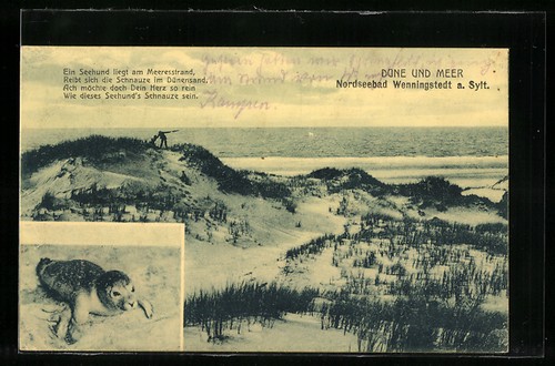 Carte postale wenningstedt - postale, a