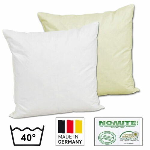 Oreiller plumes - de,