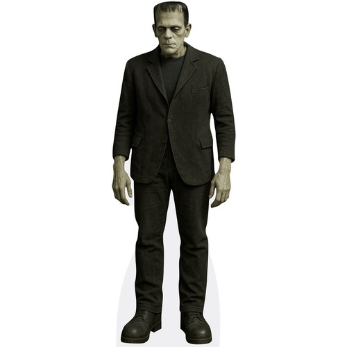 Frankenstein monster - frankenstein’s,
